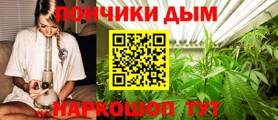 прущие грибы Краснокаменск