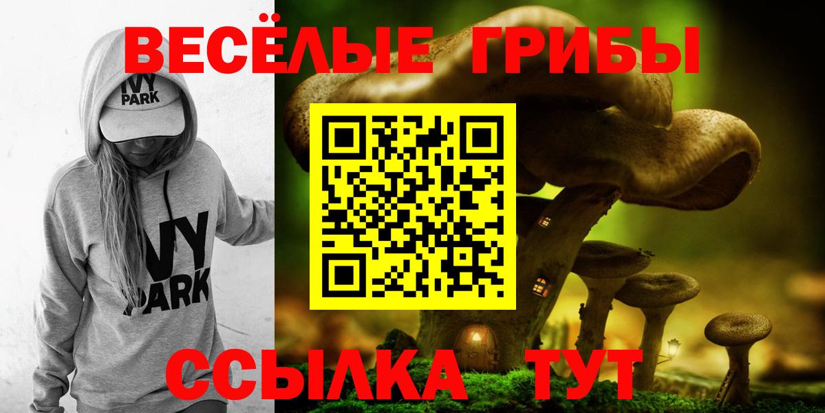 Галлюциногенные грибы Cubensis Кириши